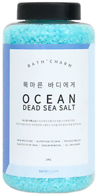 바스참 사해소금 오션 용기형, 1kg, 1개