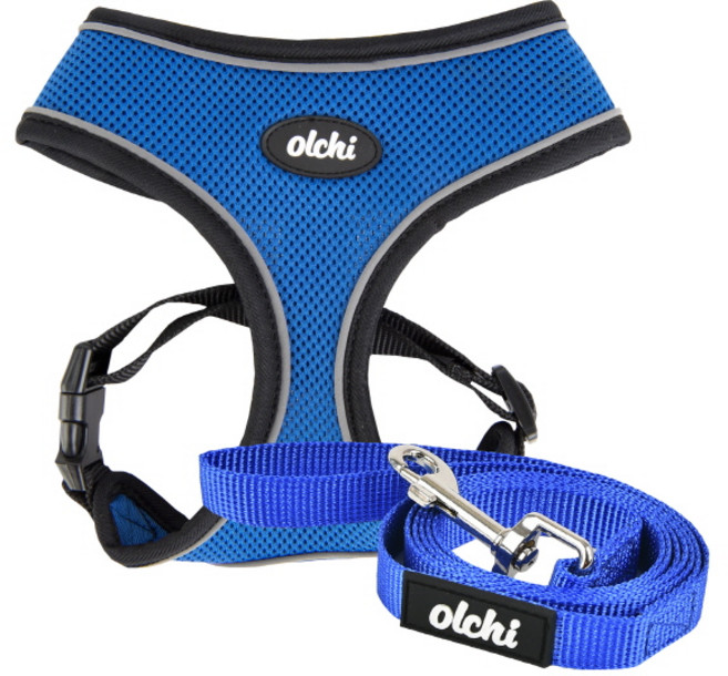 올치 야간 빛 반사 콤비 하네스 A 강아지 산책 목줄 리드 세트 L, ROYAL BLUE, 1세트