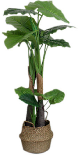 조아트 2단 알로카시아 조화나무, 혼합 색상, 1개