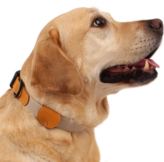 구바스 콤비네이션 강아지 목줄 인식표 세트, 베이지브라운, 1개