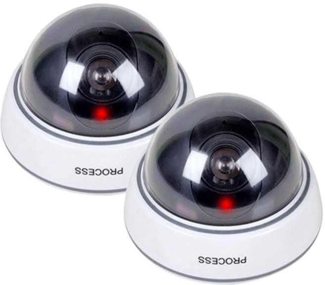 고급형 리얼 프로세스 돔타입 모형 CCTV, 2개