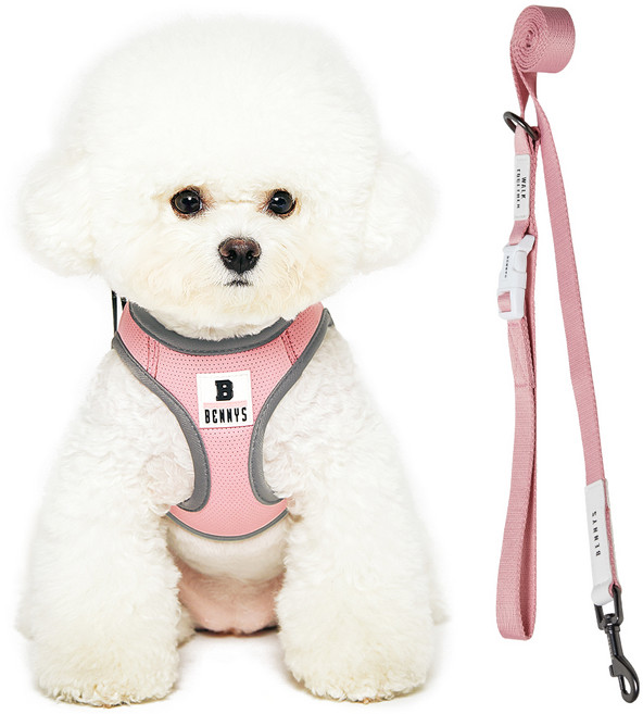 베니즈 베이직 하네스 + 리드줄, 핑크, 1세트