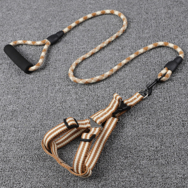 제제펫 앨리스 원형 하네스 리드줄 세트 L, 브라운 Y405PDRL072, 1세트