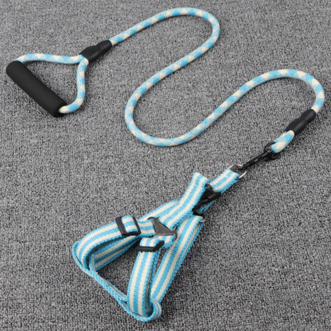 제제펫 앨리스 원형 하네스 리드줄 세트 S, 블루 Y405PDRL071, 1세트