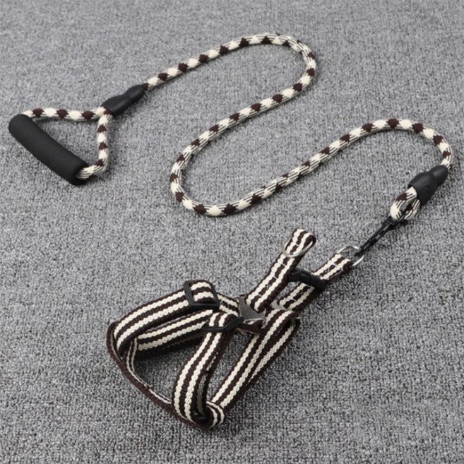 제제펫 앨리스 원형 하네스 리드줄 세트 S, 블랙 Y405PDRL074, 1세트