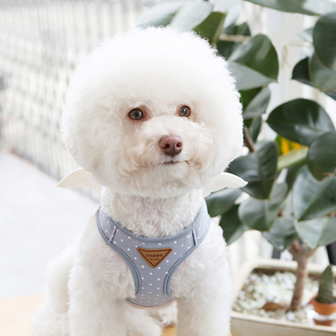 이츠독 스위티엔젤 하네스, 블루_M