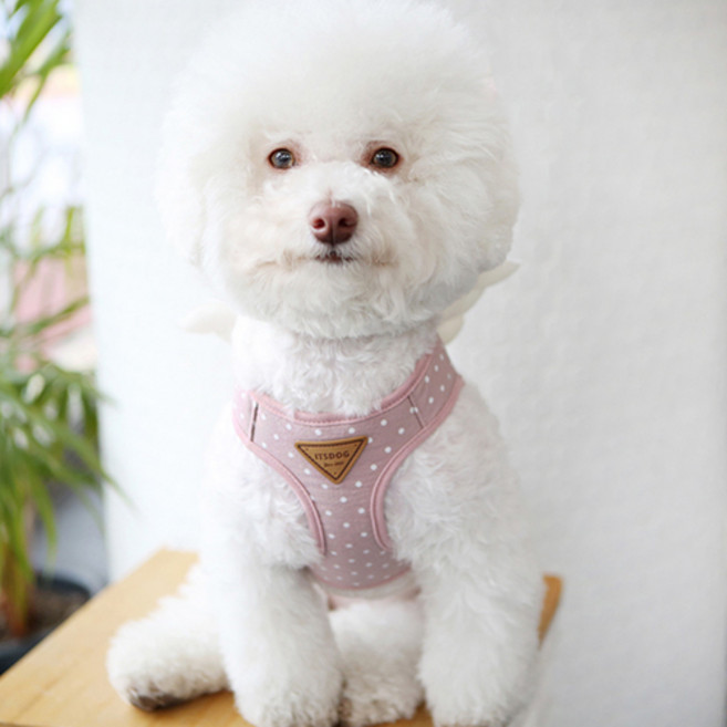 이츠독 스위티엔젤 하네스 블루 핑크, 핑크_M