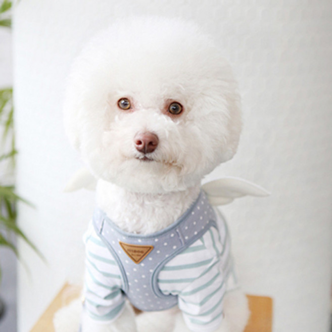 이츠독 스위티엔젤 반려견 하네스, 블루, 1개