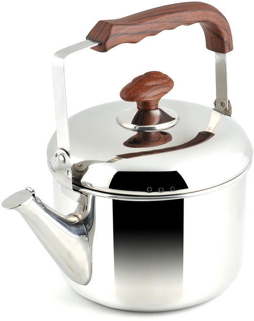 리빙글로리 네이쳐 인덕션 주전자 국내생산, 3L, 혼합색상, 1개