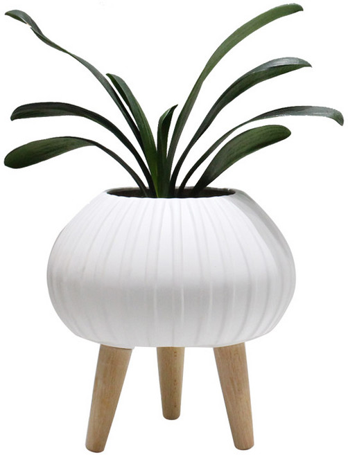 삼호유리 무광 화이트 타원 우드화분 SH24A, 혼합 색상