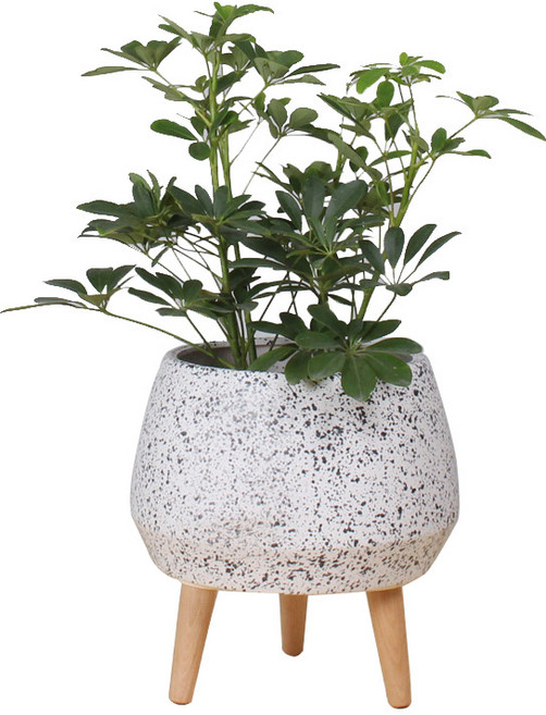 삼호유리 스펙클 화이트 우드화분 SH20-22, 혼합 색상