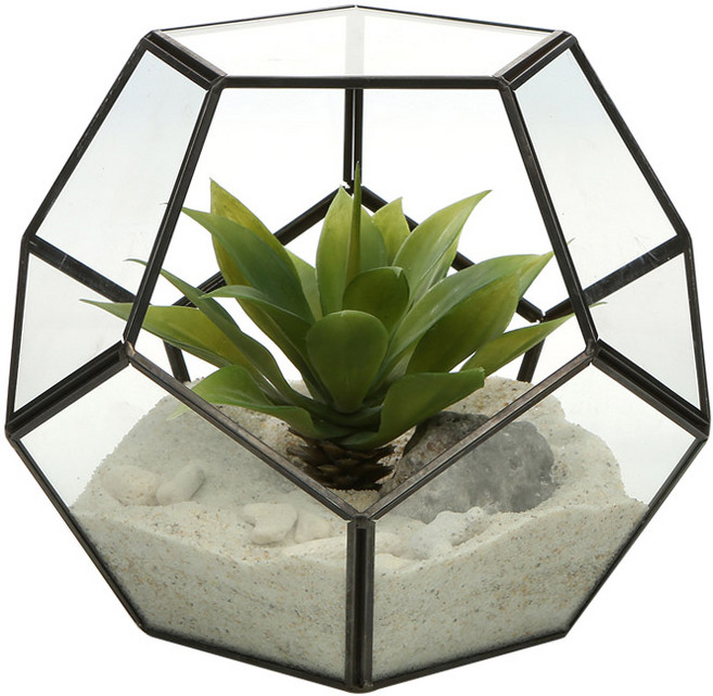 삼호유리 블랙풋볼 행잉플랜트, 블랙, 1개