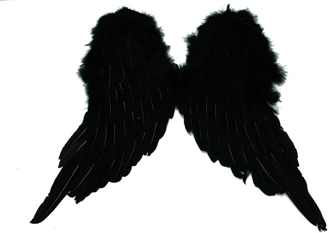 파티쇼 프리티 큐티 천사 날개, 블랙, 1개