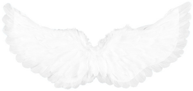 파티쇼 환타지 천사 날개 대, 화이트, 1개