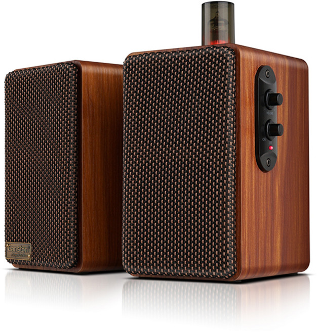 캔스톤 2채널 USB전원 진공관 북쉘프 스피커, ATP-1, 혼합 색상