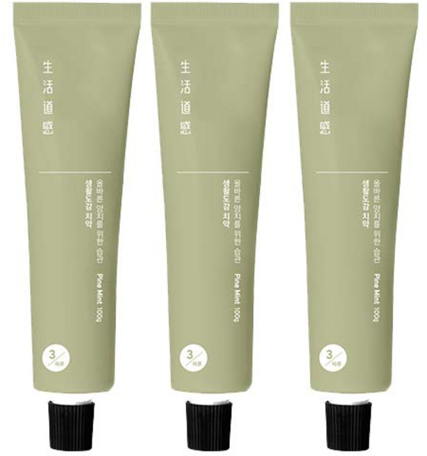생활도감 치약 파인민트, 100g, 3개