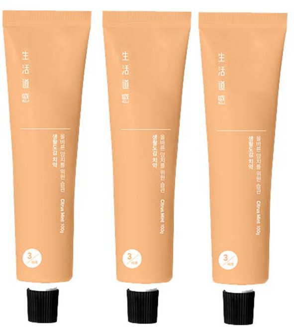생활도감 치약 시트러스민트, 100g, 3개
