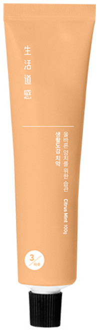 생활도감 치약 시트러스민트, 100g, 1개