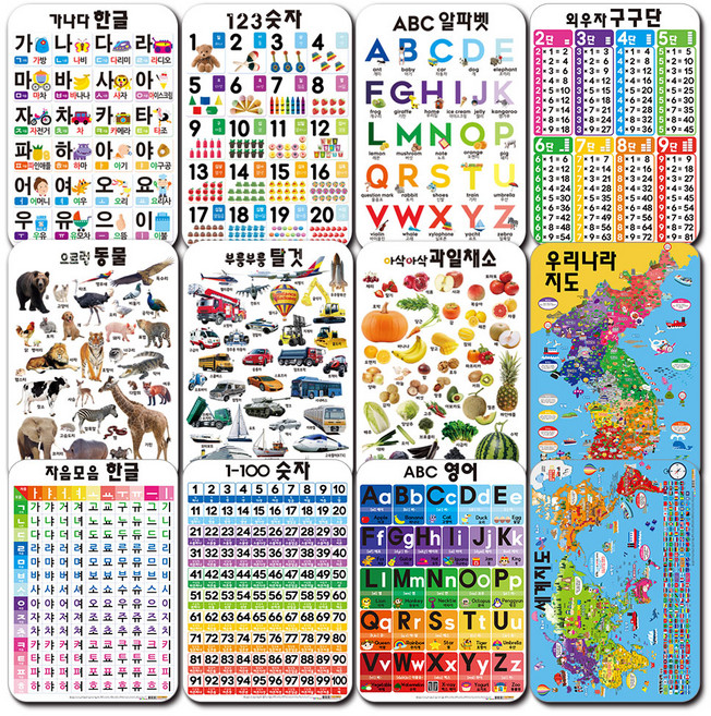 유아학습 벽그림 12종 세트, 나우에듀