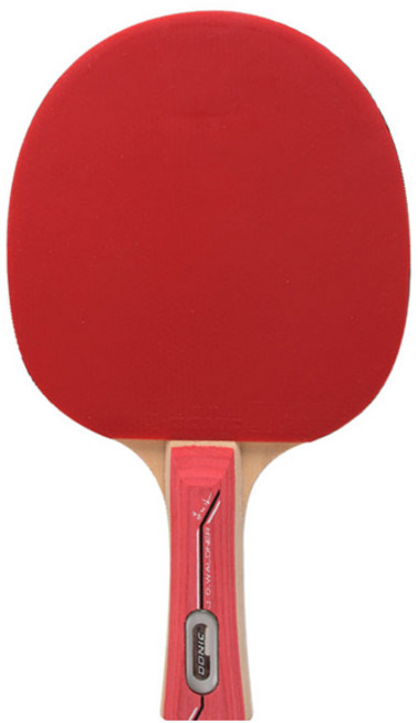 도닉 발트너 600 쉐이크 탁구라켓, 1개