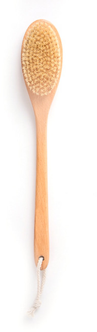 파인듀 비취우드 바디브러쉬, 혼합 색상, 1개, 1개입