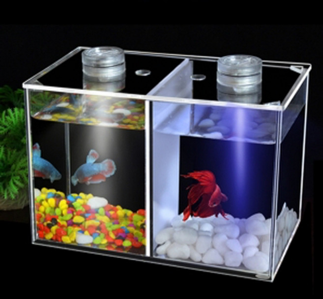 미미네아쿠아 스페셜 아크릴 베타어항 세트 2칸, 1개