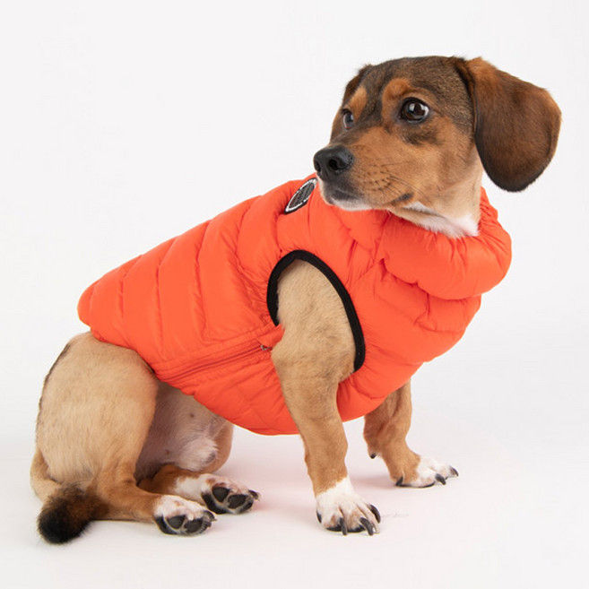 퍼피아 조끼 올인원 경량 점퍼 PAPD-JM1671, 오렌지, 1개