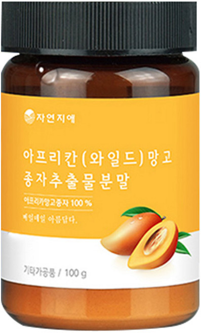자연지애 10배 아프리칸 와일드망고 종자추출분말, 100g, 1개