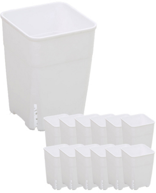 오렌스 정사각 모종 화분 12p, 화이트