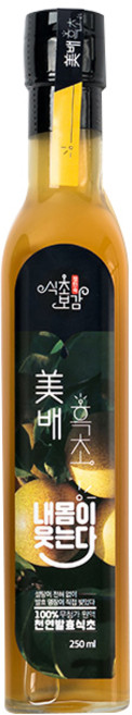 초정 정인숙 식초보감 미배흑초 원액 천연발효식초, 250ml, 1개