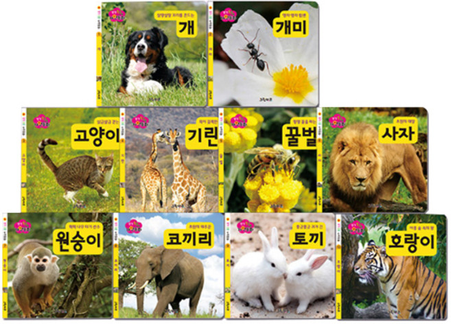 생각콩콩 자연동화 보드북 전 10권, 그린키즈