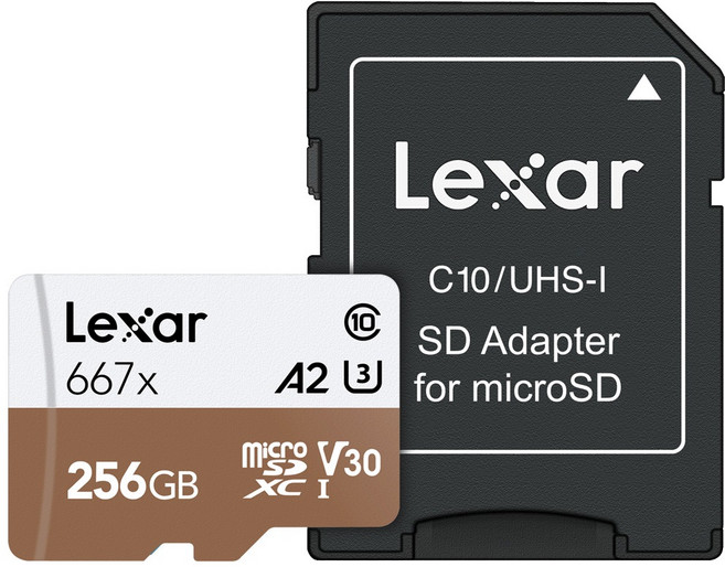 렉사 microSDXC UHS-I 667배속, 256GB, 1개
