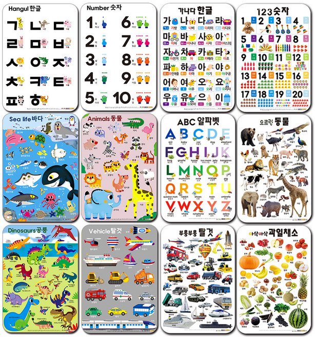 유아학습 벽그림 12종 세트 1단계 + 2단계, 나우에듀