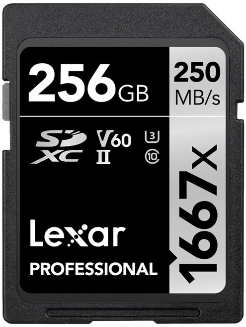렉사 SDXC 1667배속 UHS-2 카드 LSD256CB1667, 256GB, 1개