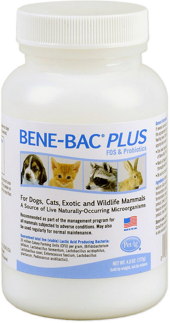 비니백 반려동물 플러스 영양제, 127g, 장건강/유산균, 1개