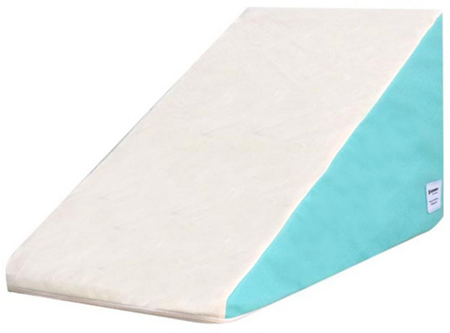 레드퍼피 셀 닥스 삼각 펫스텝, 민트, 1개