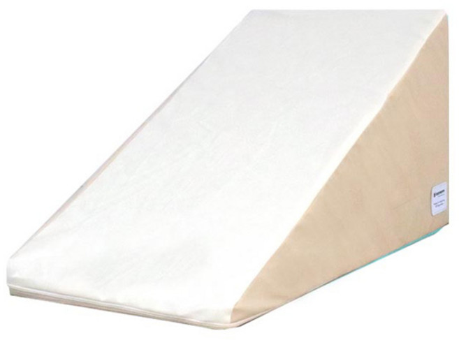 레드퍼피 셀닥스 삼각 펫스텝 일반스펀지, 아이보리, 1개