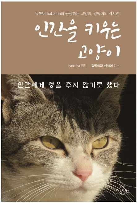 인간을 키우는 고양이:유튜버 haha ha와 공생하는 고양이 길막이의 자서전, 다독임북스