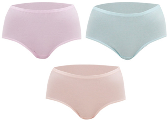 BYC 女款優質純棉3角內褲 3入, 混合色