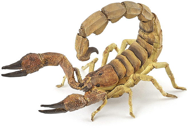 파포 스콜피온 피규어 50209, 1개