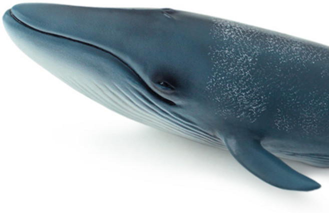 반디토이 해양 흰수염고래 소프트동물 피규어, 1개