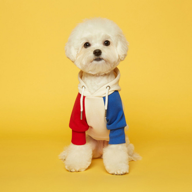 플로트 스탠다드후드 강아지옷, 레드블루, 1개