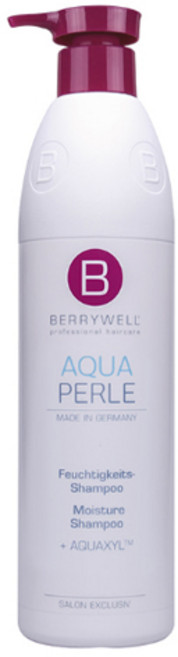 BERRYWELL 모이스쳐 헤어 샴푸, 1L, 1개