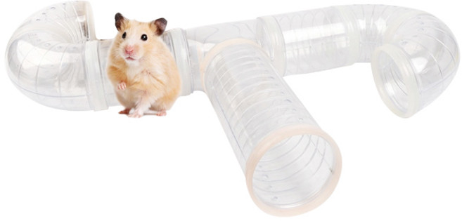 골든햄스터용 Big 연결터널 8p 세트, 혼합색상, 1세트