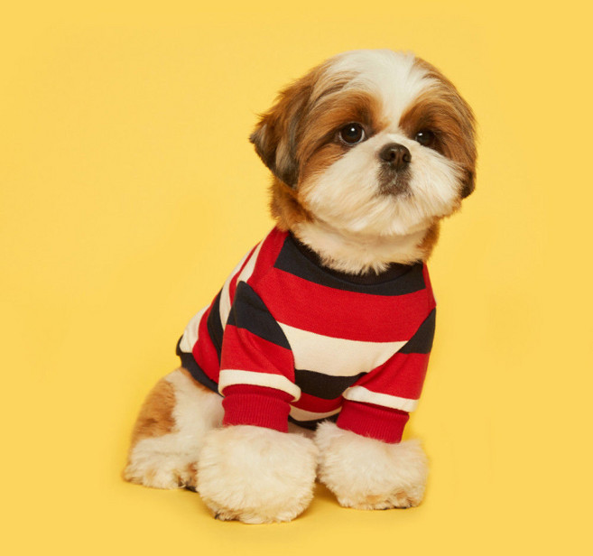 플로트 스탠다드 강아지 맨투맨 티셔츠, 스트라이프 레드 + 네이비, 1개