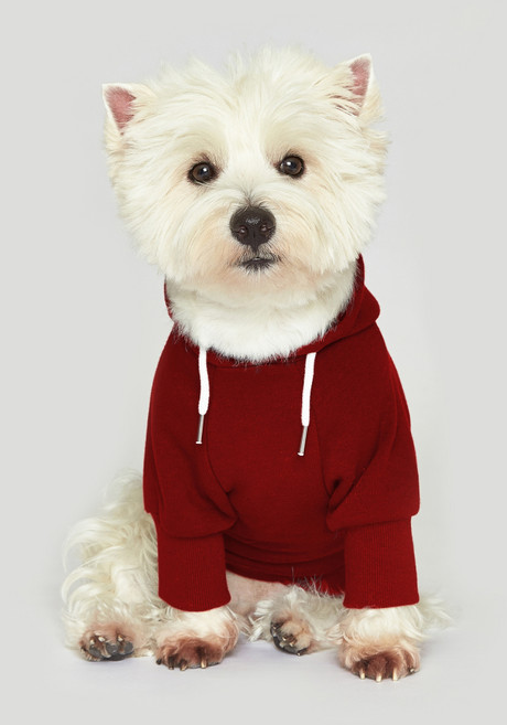 플로트 스탠다드 후드 강아지옷, 레드, 1개