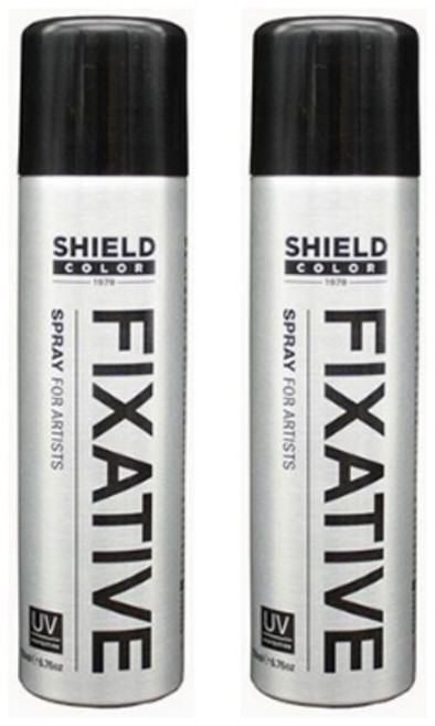쉴드 미술용 픽사티브, 150ml, 2개