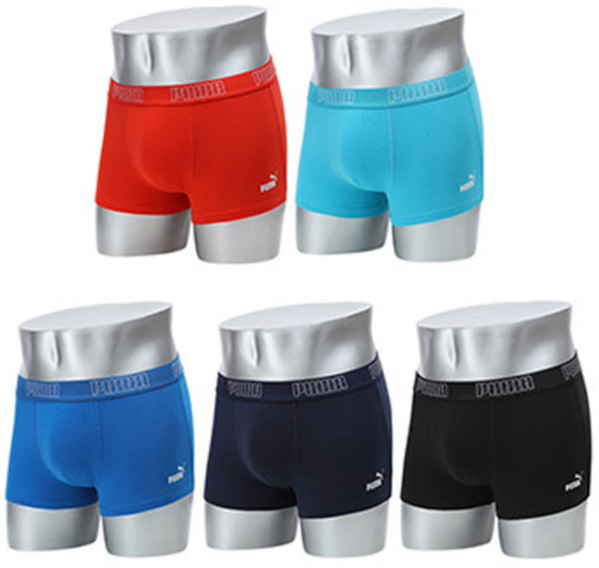 푸마바디웨어 남성용 40수 면스판 드로즈 팬티 5종 세트