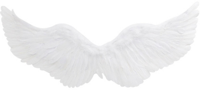 리빙다 럭셔리 천사날개 파티용품, 1개