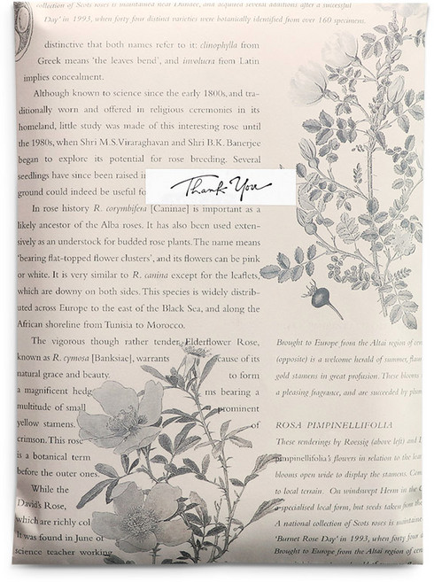 빈티지 기프트백 M 17.5 x 24cm, 혼합색상, 20개